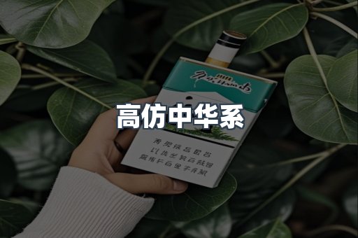 高仿中华系